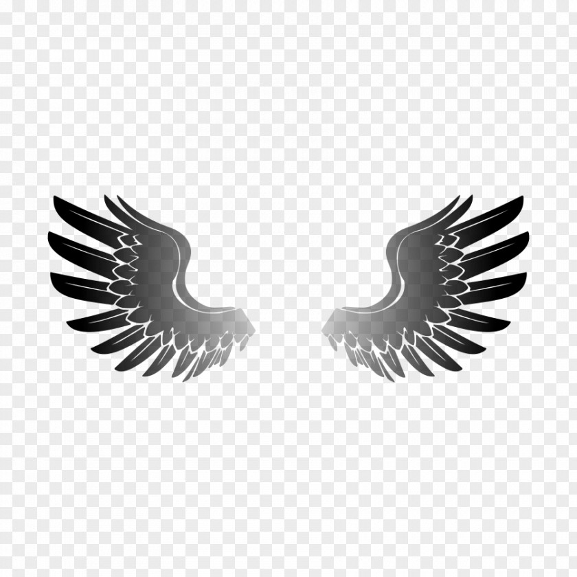 Wings Cliparts Eagle Wing Clip Art PNG