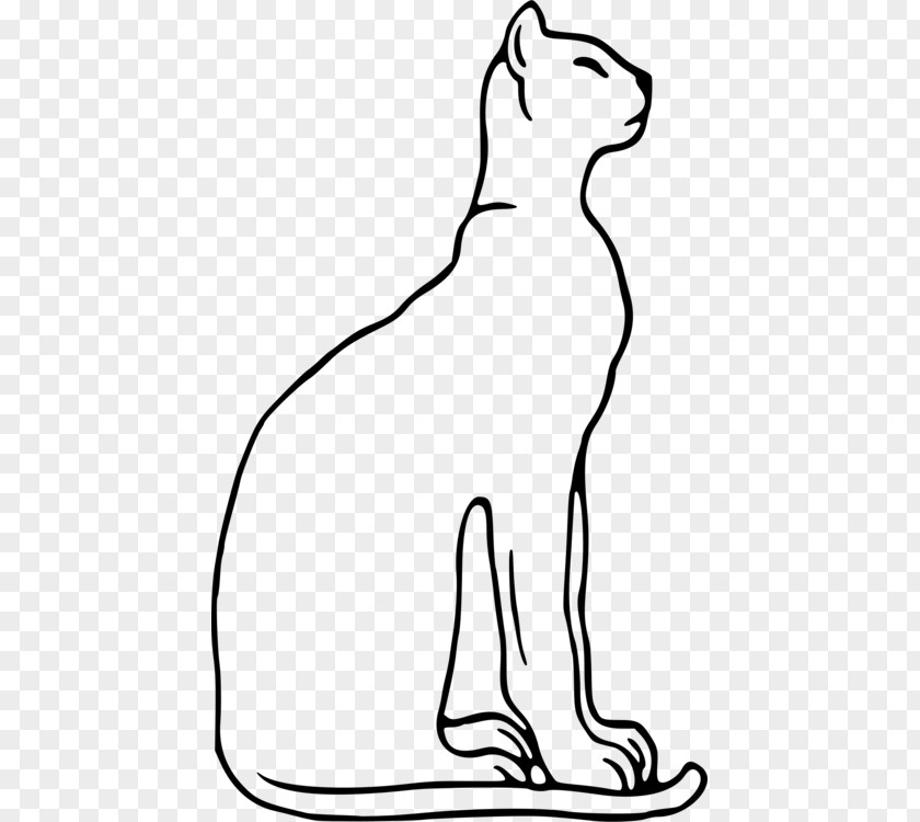 Cat Drawings Drawing Line Egyptian Mau Felidae Siamese Wildcat Thai PNG