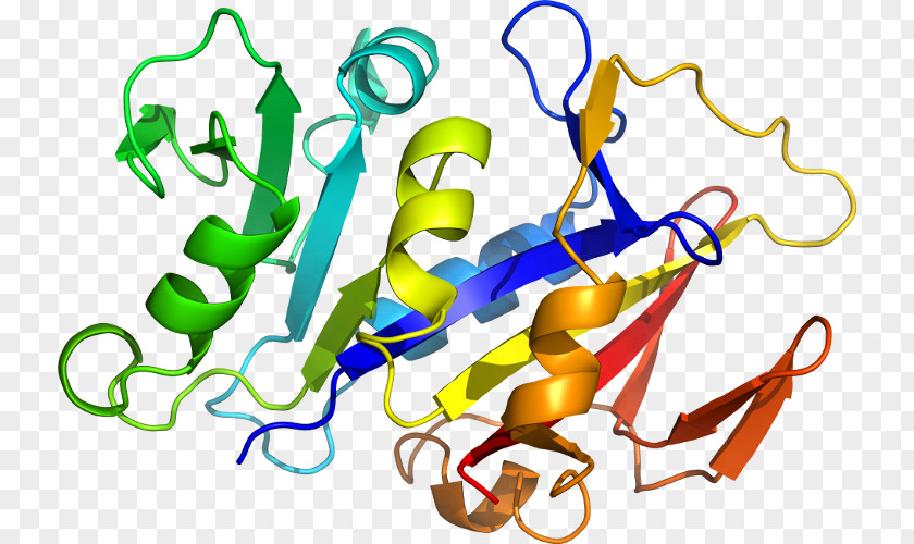 Eema Interleukin-1 Family Interleukin 1 Receptor, Type I Receptor IL1A PNG