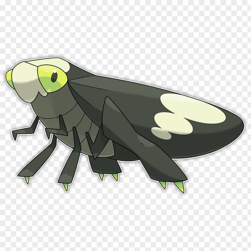 High Jump True Bugs Insect Cicadoidea Jumping Froghopper PNG