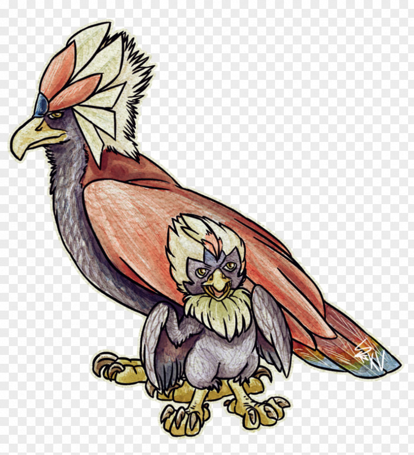 Eagle Rooster Beak Cartoon PNG