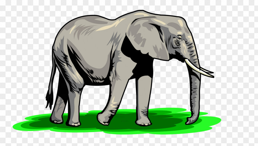 Elephant African Clip Art PNG