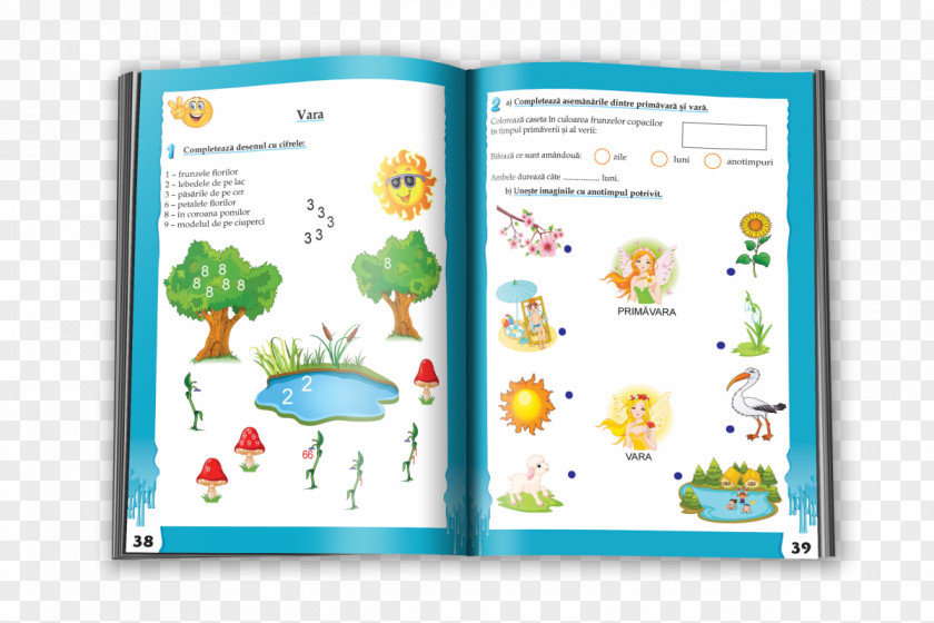 Flower Graphics Brochure PNG