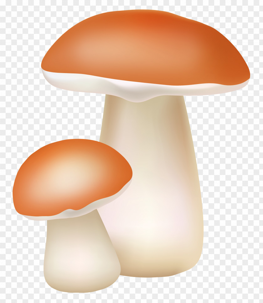 Mushroom Light Clip Art PNG