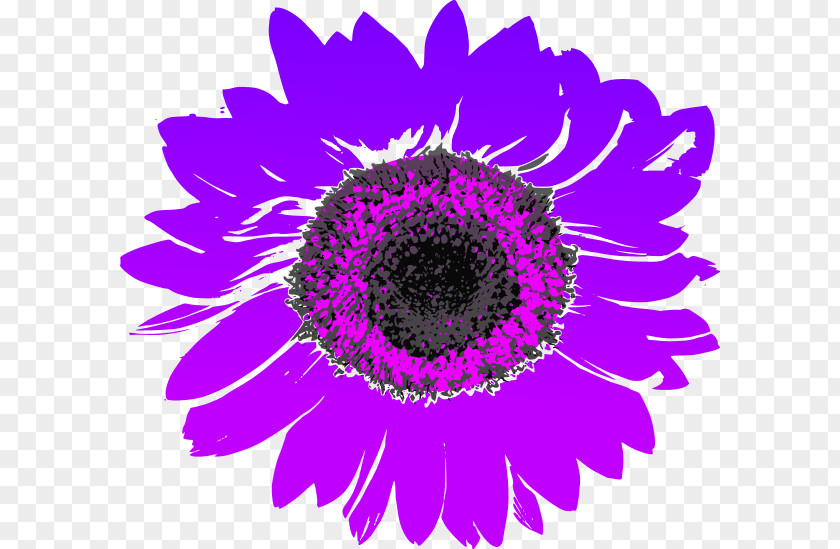 Purple Sunflower Cliparts Common Clip Art PNG