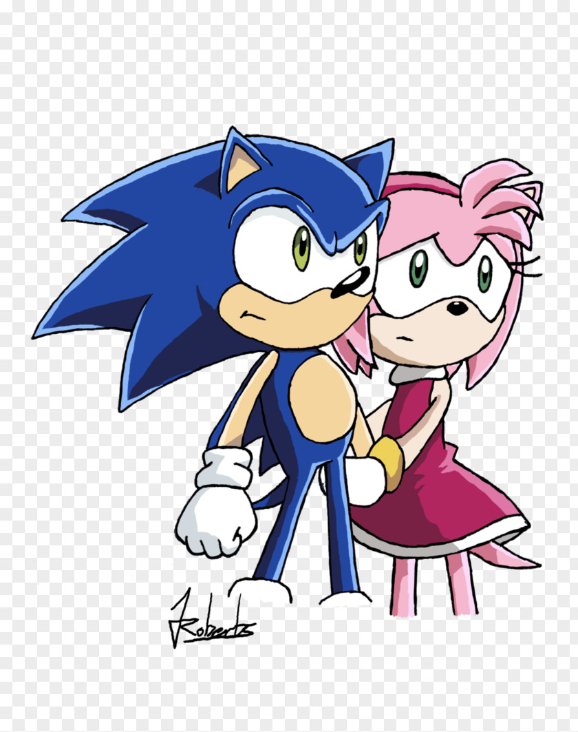 Wedding Game Over Shadow The Hedgehog Amy Rose PNG
