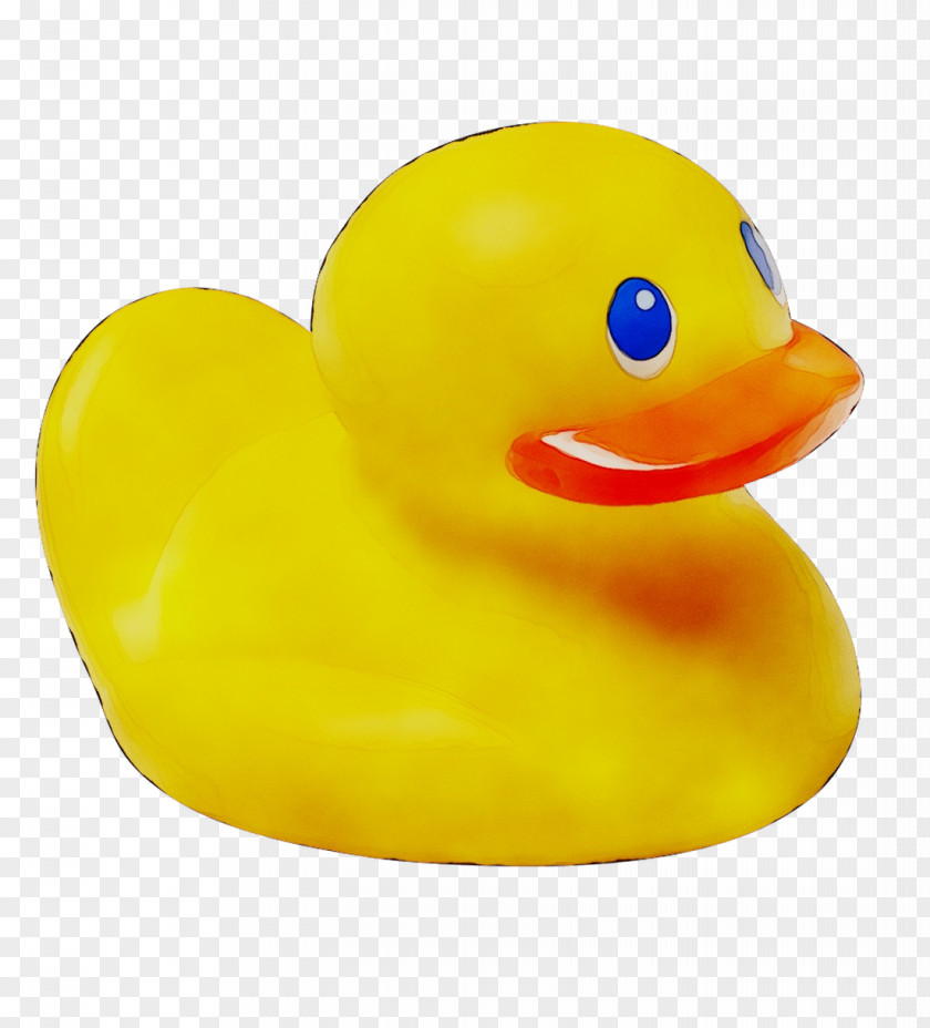 Yellow Product Design Beak PNG