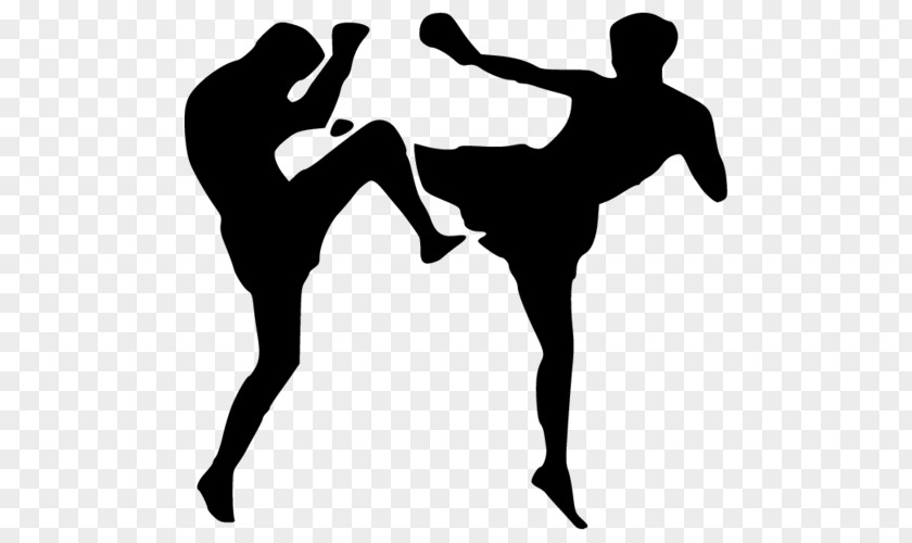 Boxing Kickboxing Muay Thai Martial Arts PNG