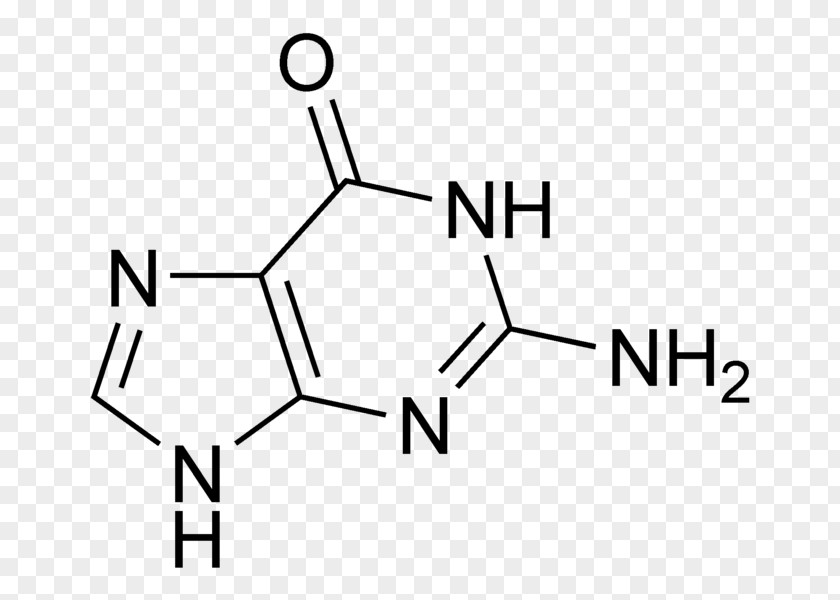 Chemical Guanine Adenine Guanosine Monophosphate Cytosine PNG