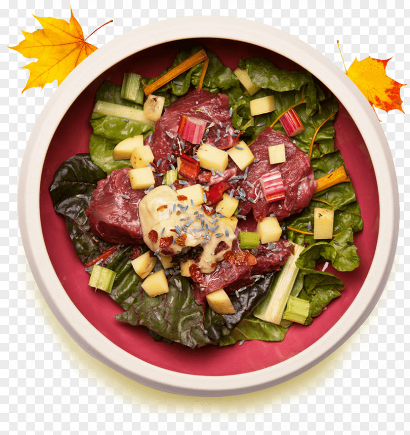 Dog Greek Salad Spinach Nutrient Vegetarian Cuisine PNG