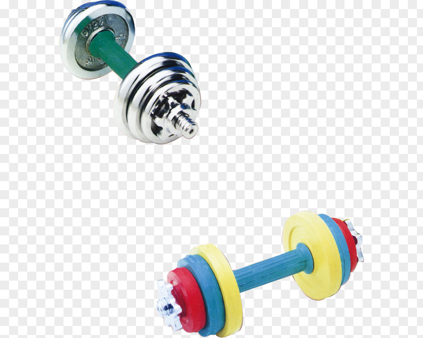 Dumbbell Physical Fitness Bodybuilding PNG