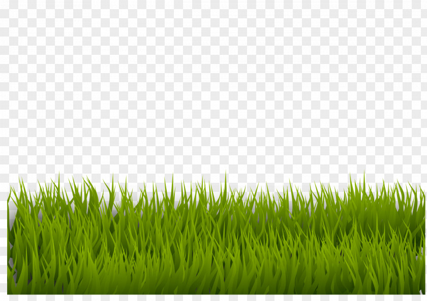 Grass Lawn Desktop Wallpaper Clip Art PNG