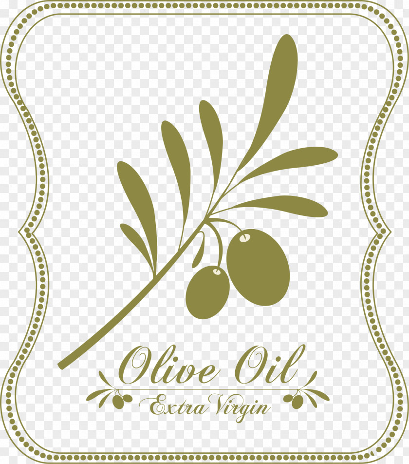 Green Olive Frame PNG