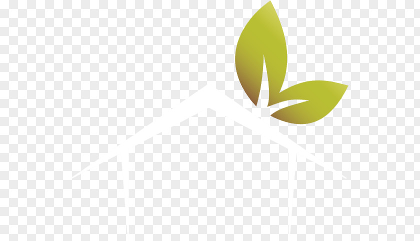 Leaf Logo Brand Desktop Wallpaper PNG