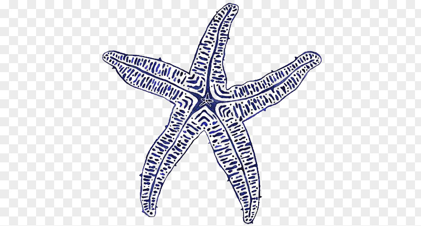 Starfish Painting Beach Sea Coast PNG