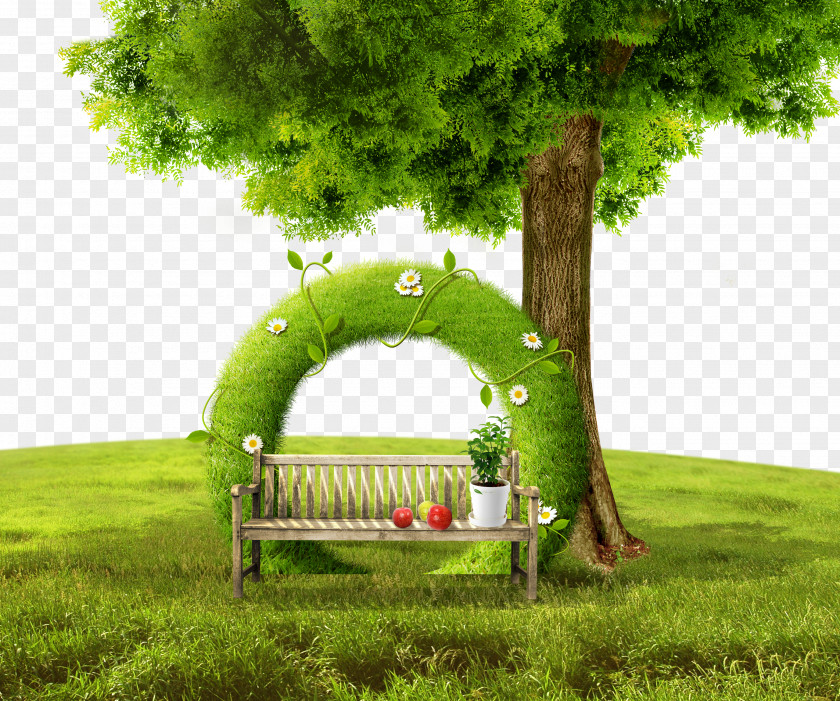 Trees Lawn Grass Tree Clip Art PNG