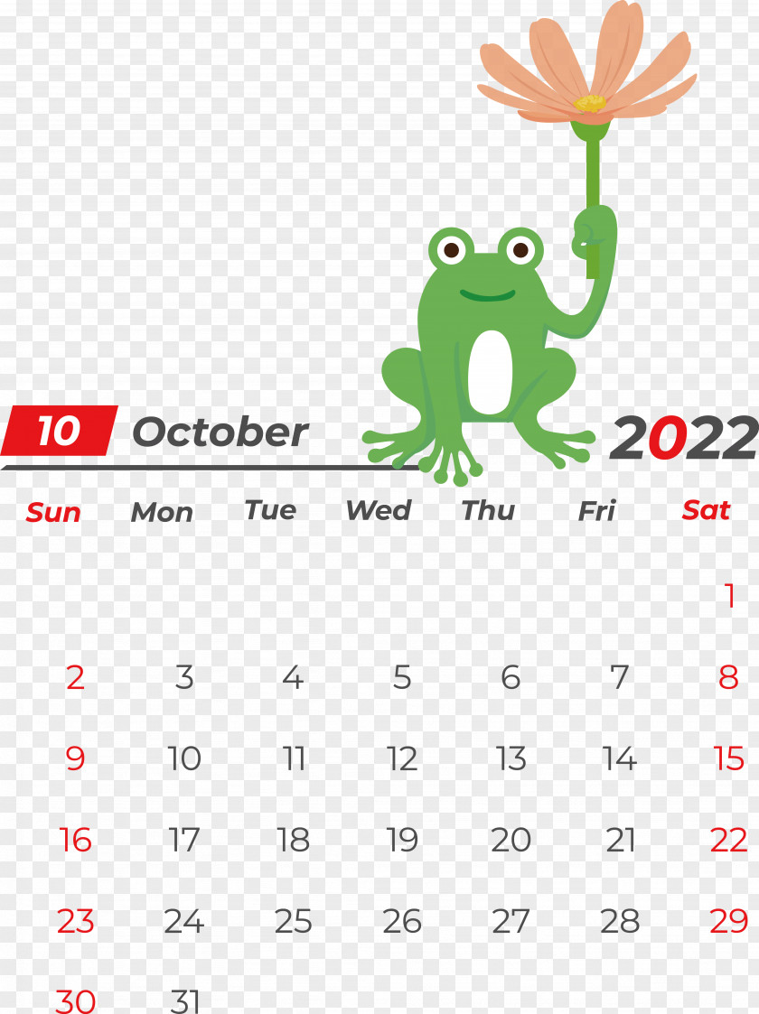 Calendário Fevereiro 2022 Calendar Icon Symbol Line PNG