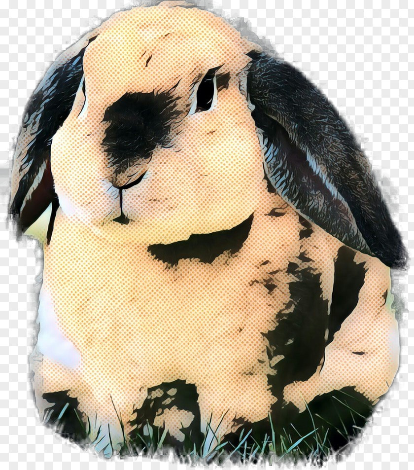 Domestic Rabbit Stuffed Animals & Cuddly Toys Snout PNG
