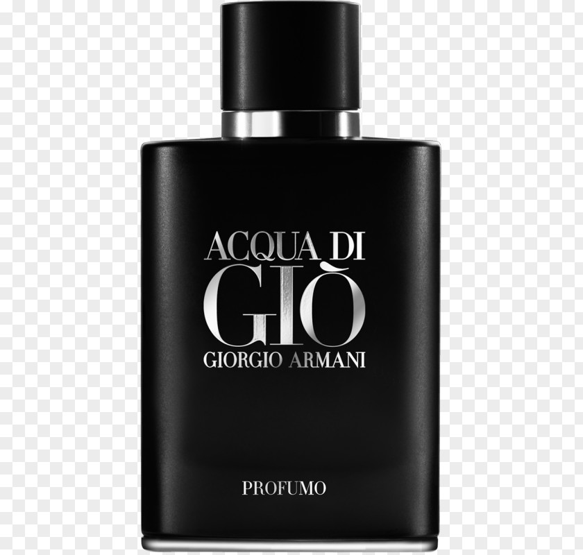 Perfume Acqua Di Giò Giorgio Armani Gio Profumo 3.4 Oz Eau De Parfum Spray By For Women PNG