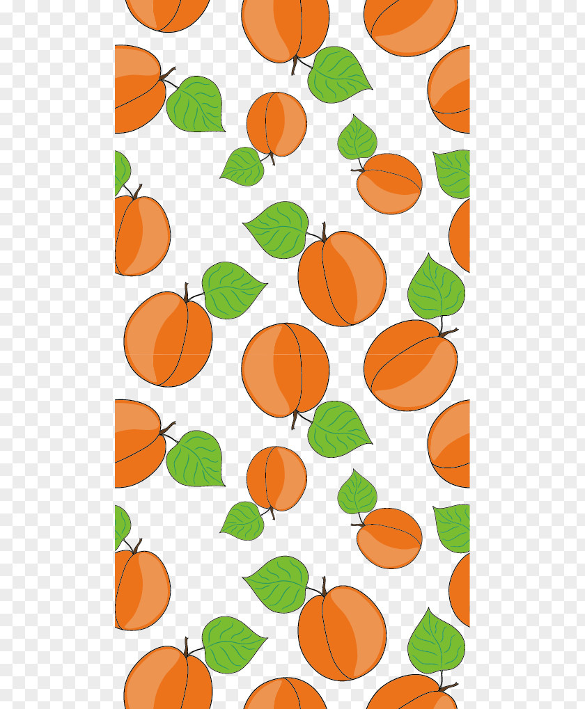 Vector Peaches Fruit Peach PNG