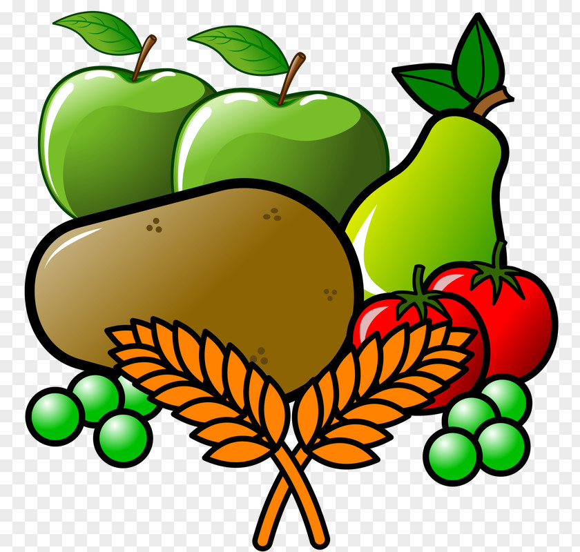 Vegetable Clip Art Illustration Cartoon Insect PNG