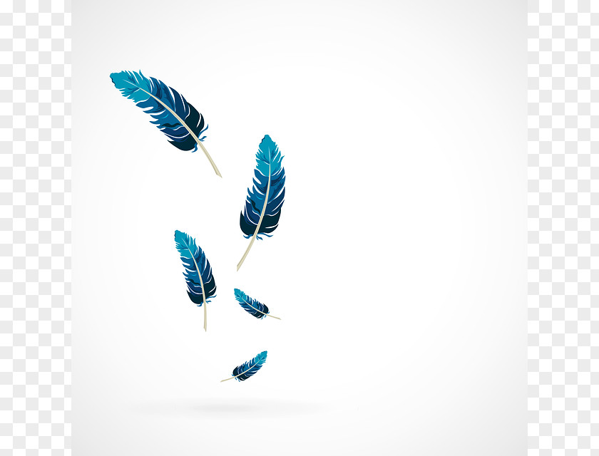Blue Feather Bird PNG