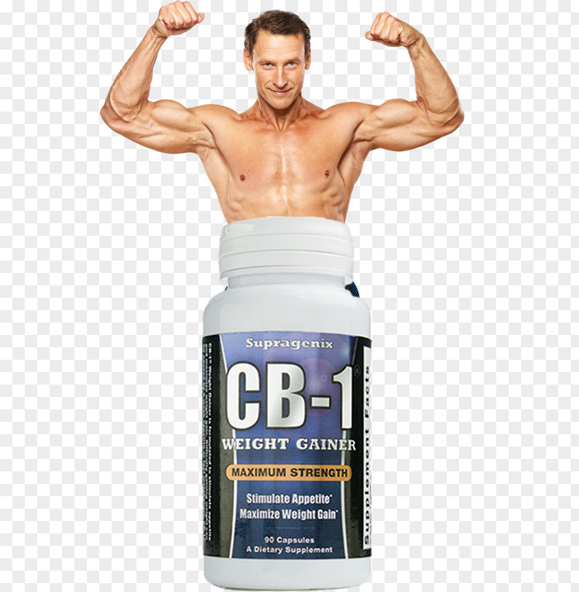 Bodybuilding Dietary Supplement Muscle Hypertrophy Weight Gain PNG