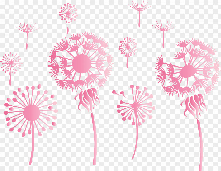 Dandelion PNG