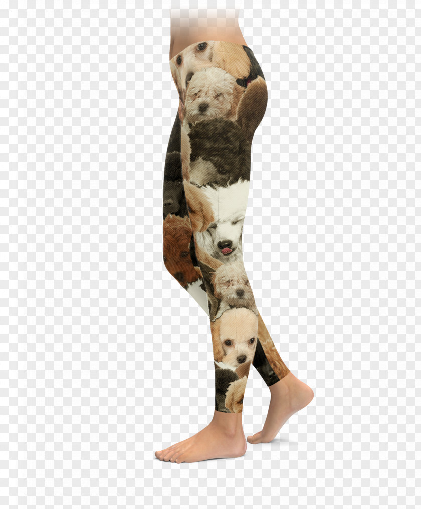 Dog Knee Leggings Calf Canidae PNG