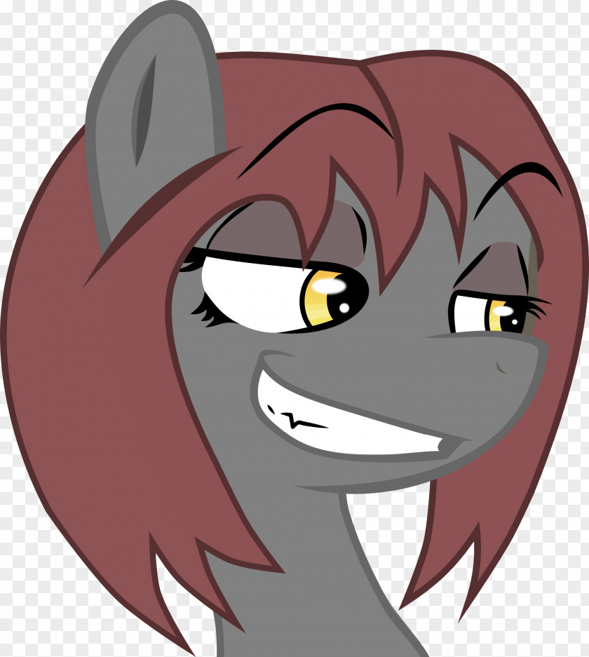 Donkey Face Cat Horse Mouth PNG