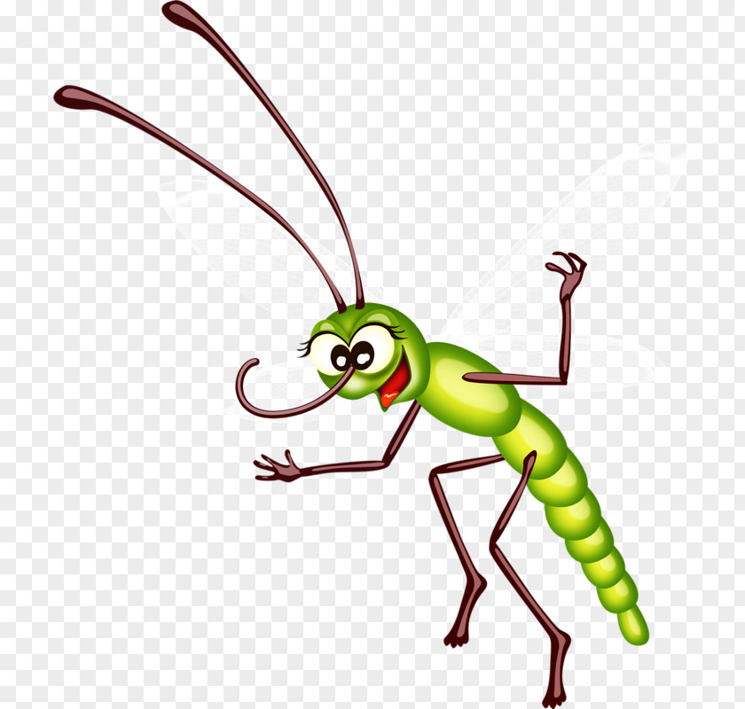 Green Ants Ant Bee Cartoon Clip Art PNG