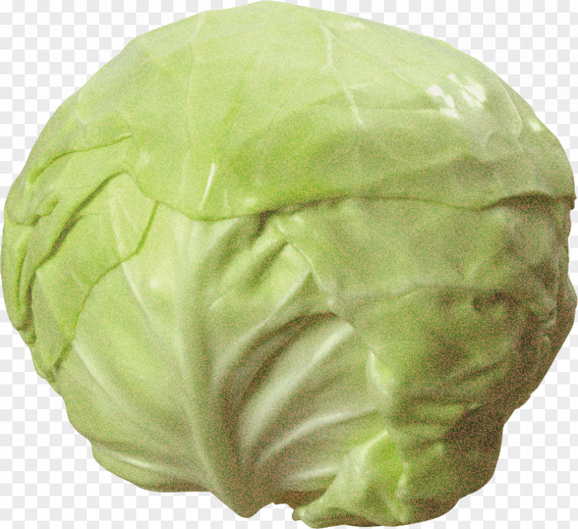 Sauerkraut Brussels Sprout Cauliflower PNG