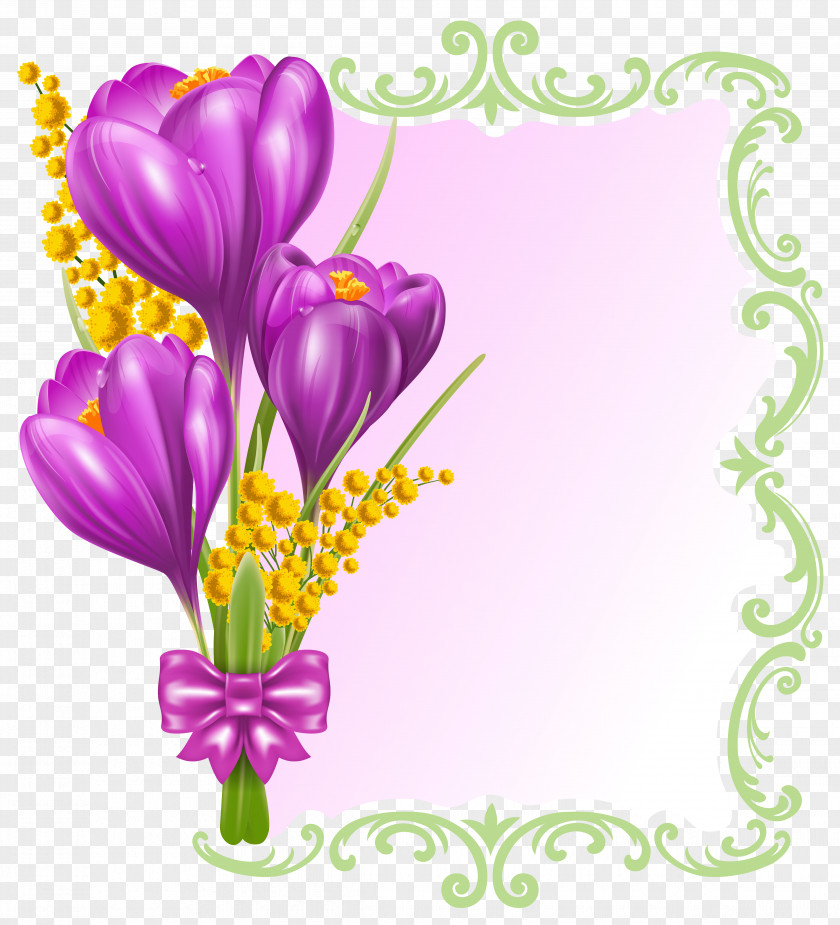 Spring Decorative Blank Clipart Flower Purple Crocus Clip Art PNG