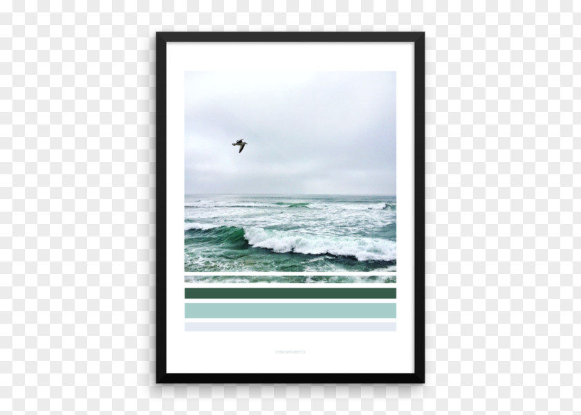 Wall Poster Picture Frames Photography PNG