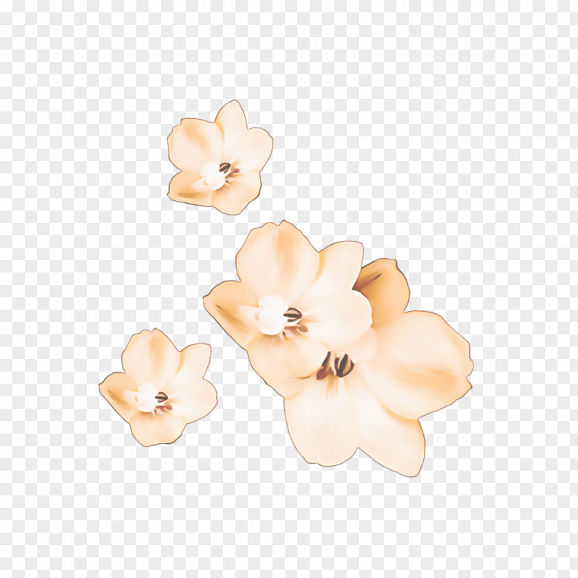Blossom Beige Flowers Background PNG