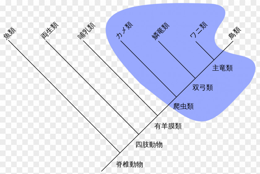 Dinosaur Reptile Paraphyly Cladistics Cladogram Holophyly PNG