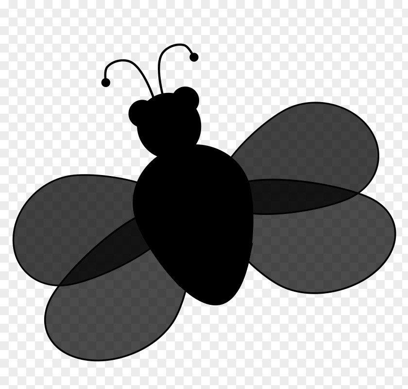 Insect Clip Art Product Design PNG