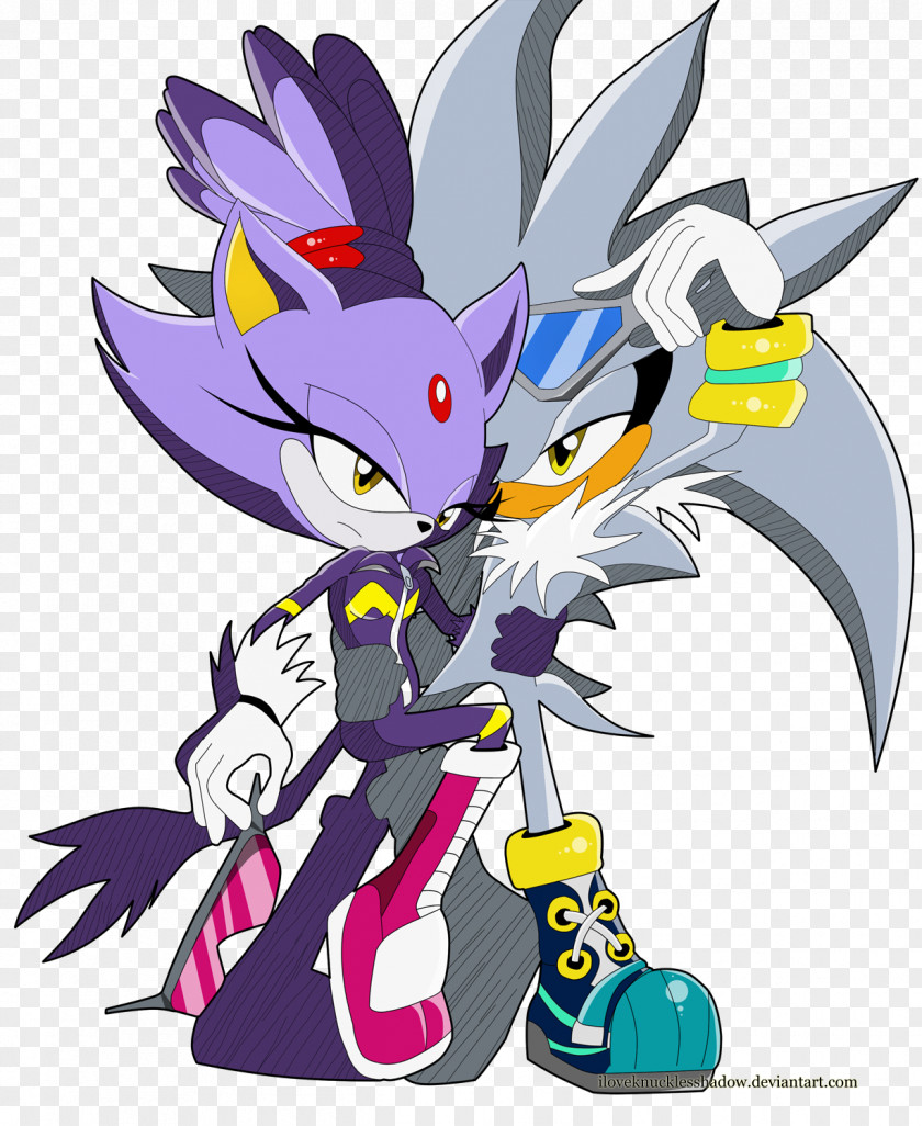 Sonic Riders SegaSonic The Hedgehog Rouge Bat Shadow PNG