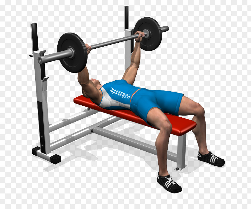 Barbell Bench Press Exercise Fly PNG