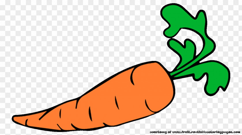 Carrot Auglis Vegetable Clip Art PNG