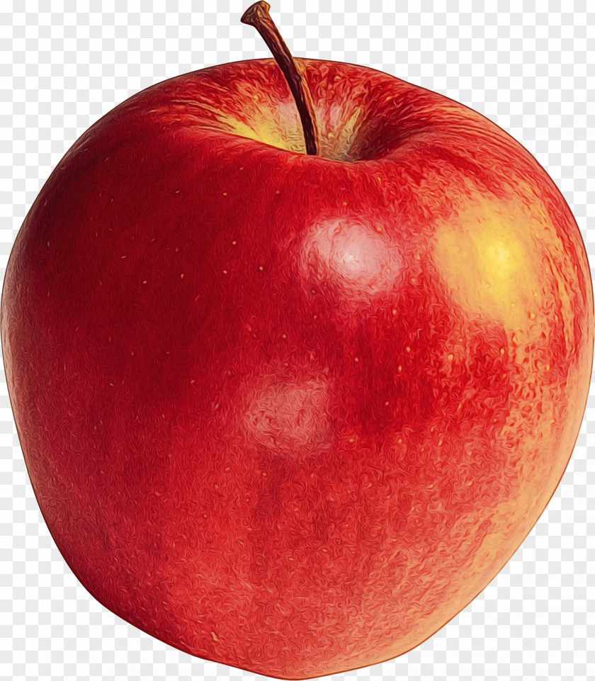 Drupe Malus Apple Background PNG