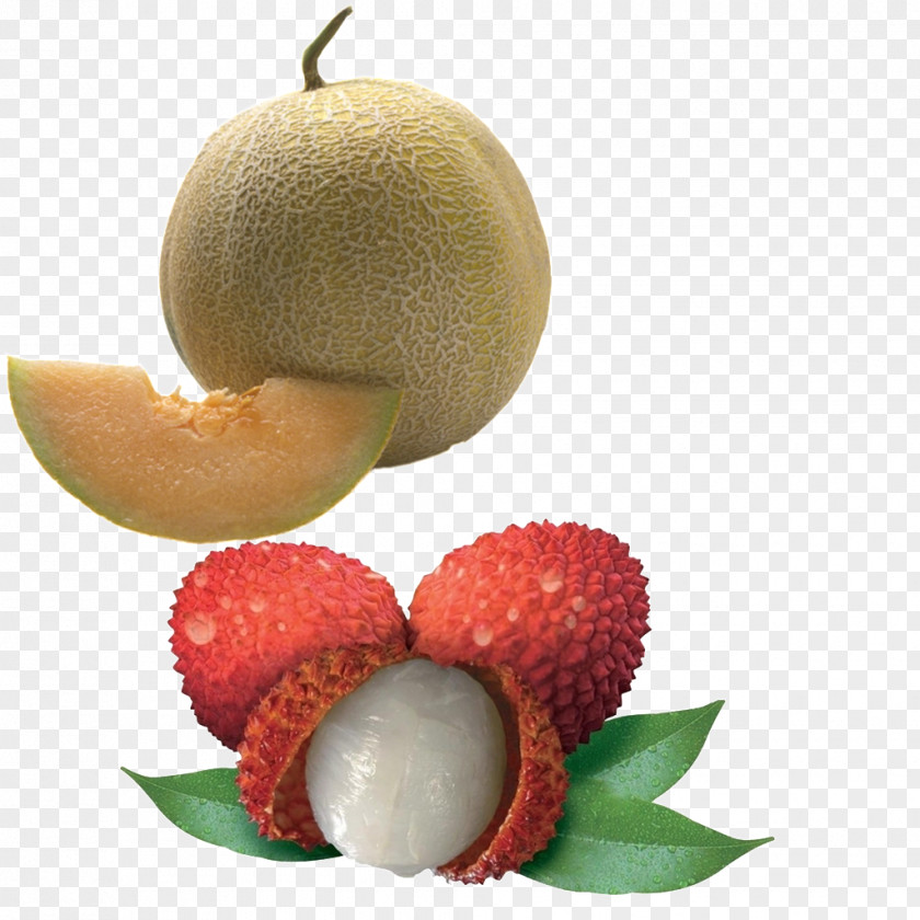 Lychee Physical Map Fruit Auglis Food PNG