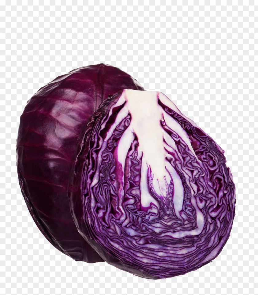 Purple Kale Red Cabbage Vegetable PNG