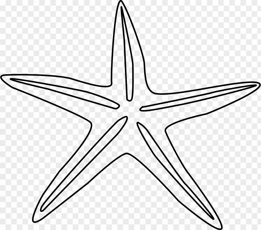 Symmetry Line Art Starfish Star PNG