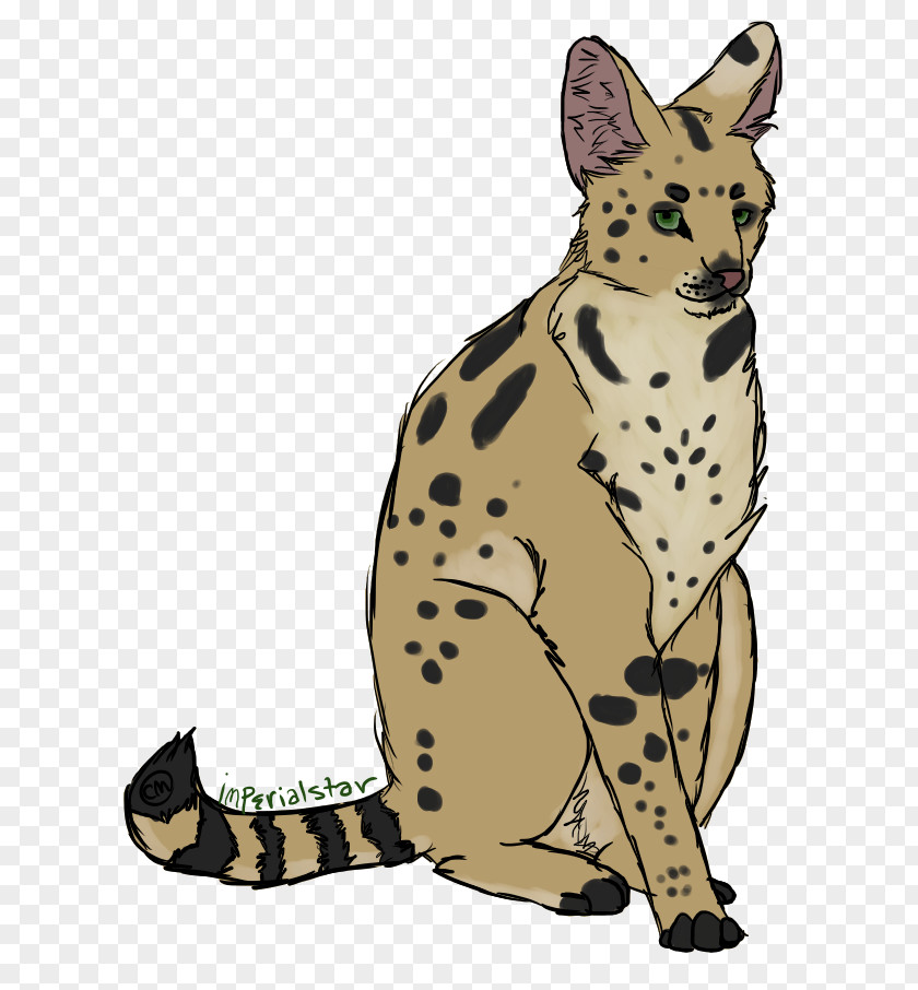 Cat Whiskers Cheetah Non-sporting Group Dog Breed PNG