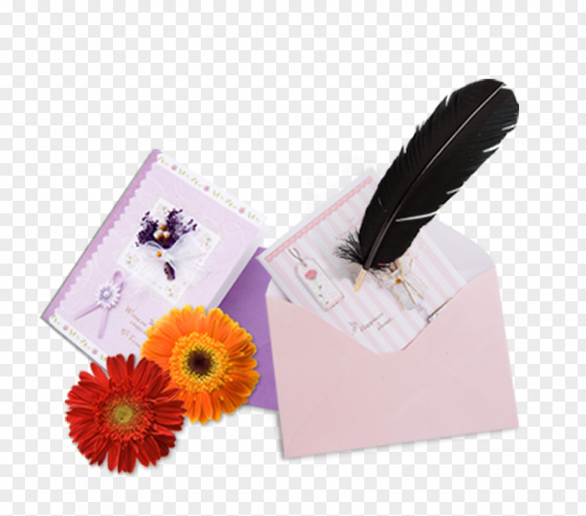 Feather And Envelopes Paper Envelope Pen PNG