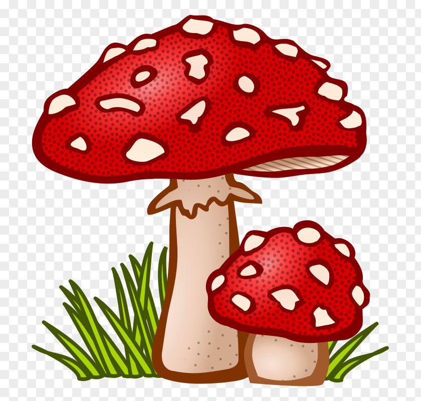 Fungi Mushroom Fungus Amanita Muscaria Clip Art PNG