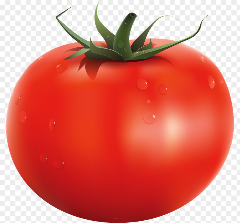 Vegetable Italian Tomato Pie Food Clip Art PNG