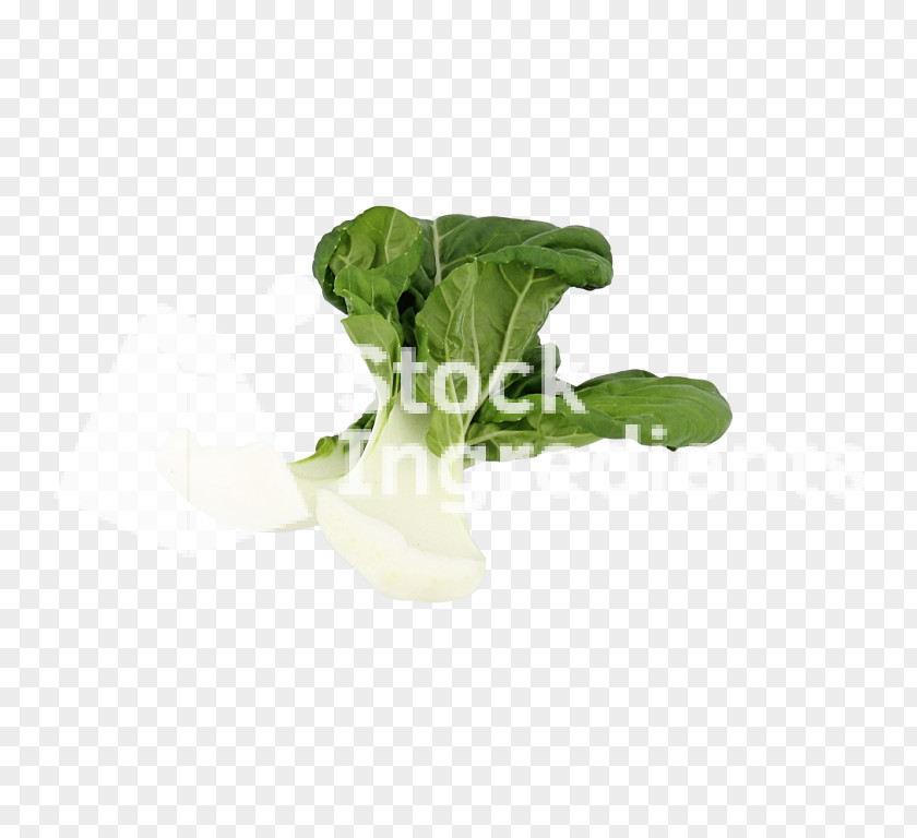 Bok Choy Leaf Vegetable Romaine Lettuce PNG