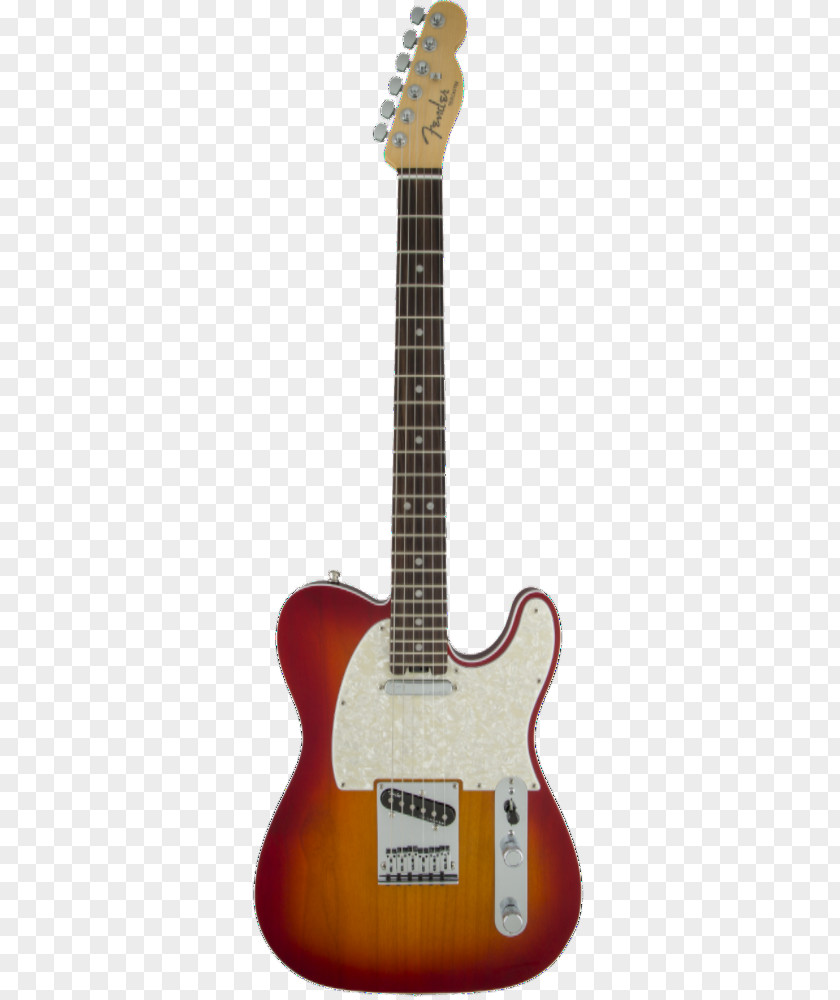 Electric Guitar Players Poster Fender American Elite Telecaster Stratocaster Musical Instruments Corporation PNG